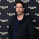 Vulture Festival 