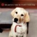 Marley & Me