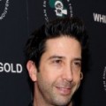David Schwimmer, de retour dans une s�rie !