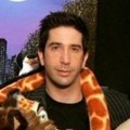Melman revient ! 